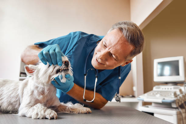 Best Emergency Tooth Extraction  in Cary, NC